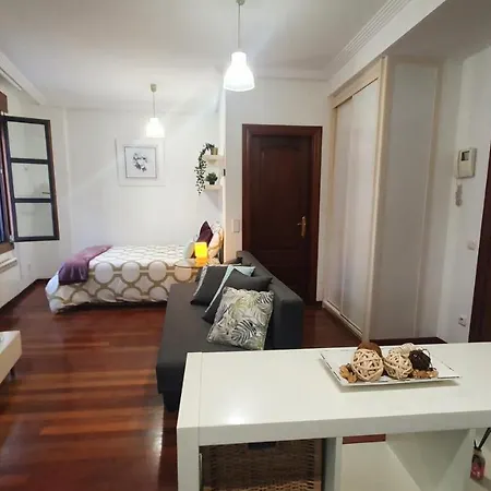 Apartmán Estudio Paseo De Begona - Coqueto En El Corazon De *