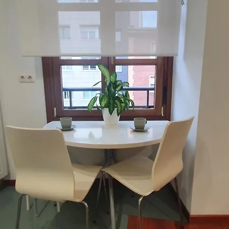 Apartmán Estudio Paseo De Begona - Coqueto En El Corazon De