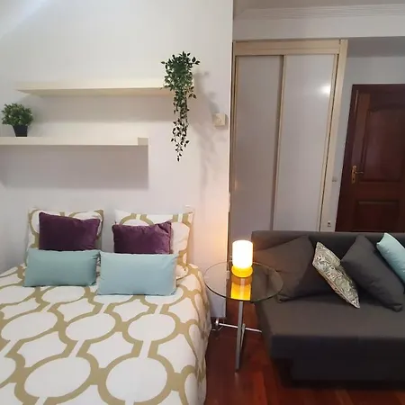 Estudio Paseo De Begona - Coqueto En El Corazon De * Gijón